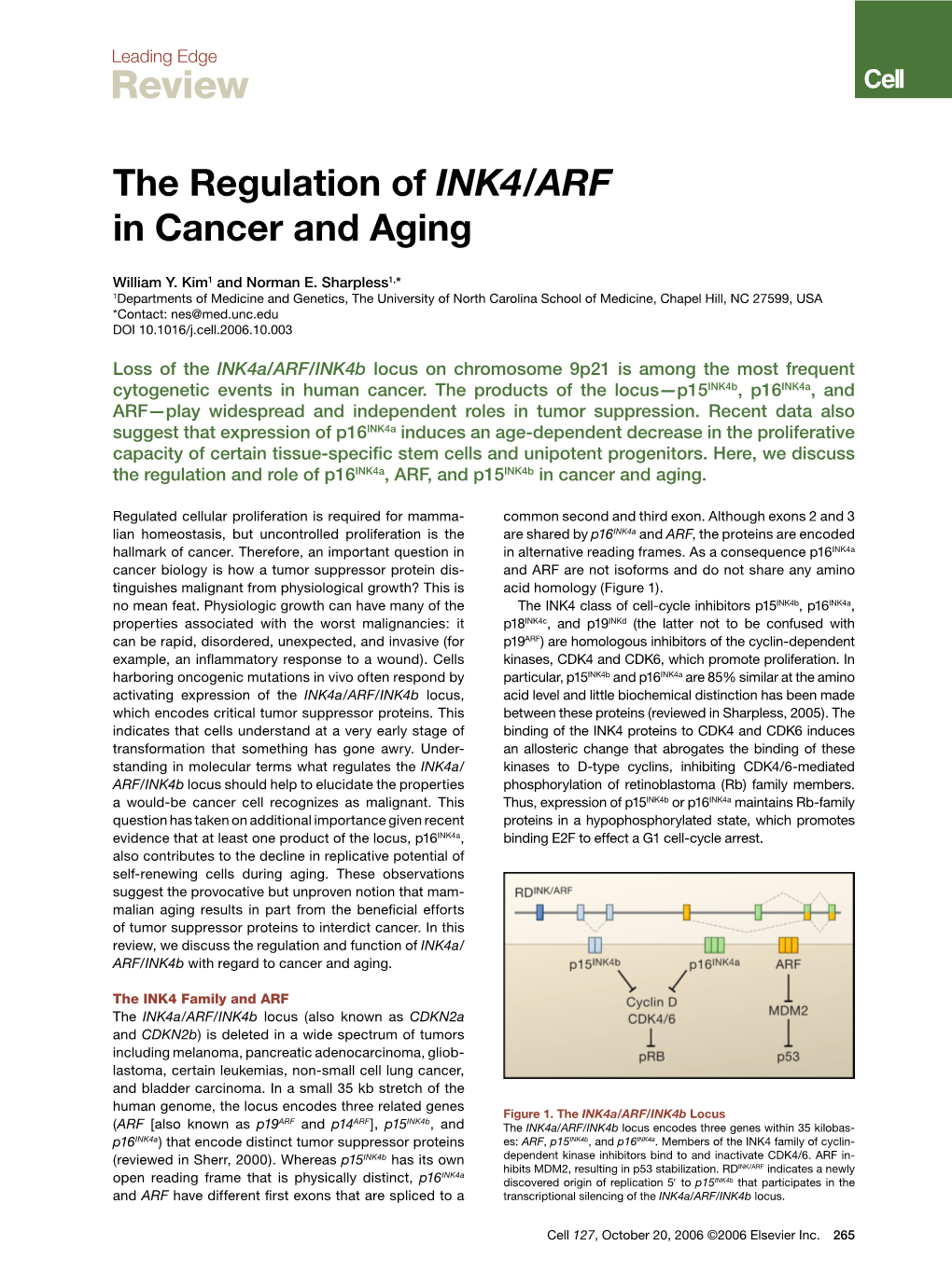 The Regulation of INK4/ARF in Cancer and Aging