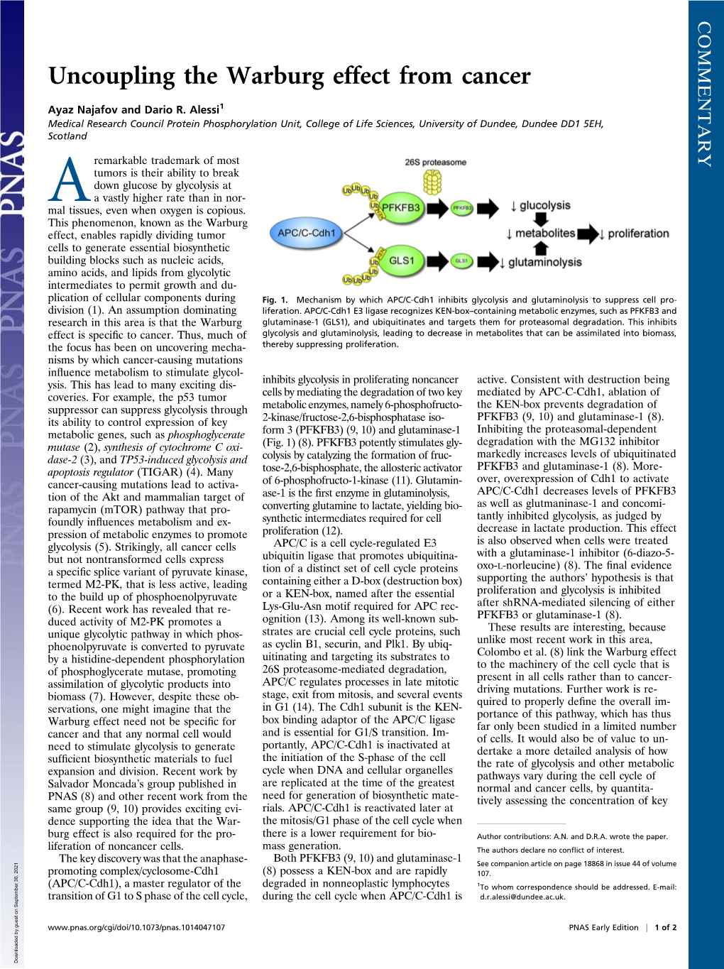 Uncoupling the Warburg Effect from Cancer