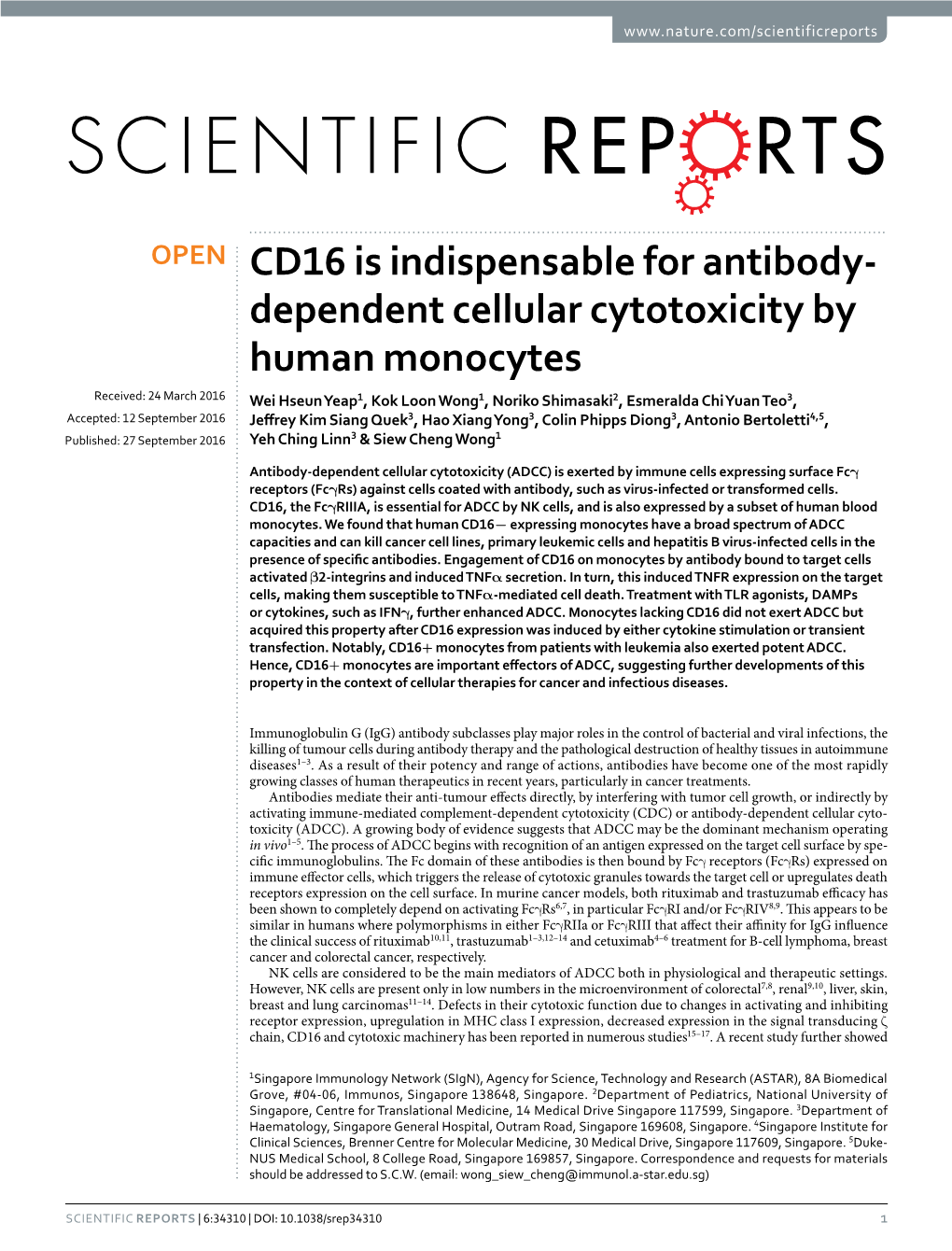Dependent Cellular Cytotoxicity by Human Monocytes