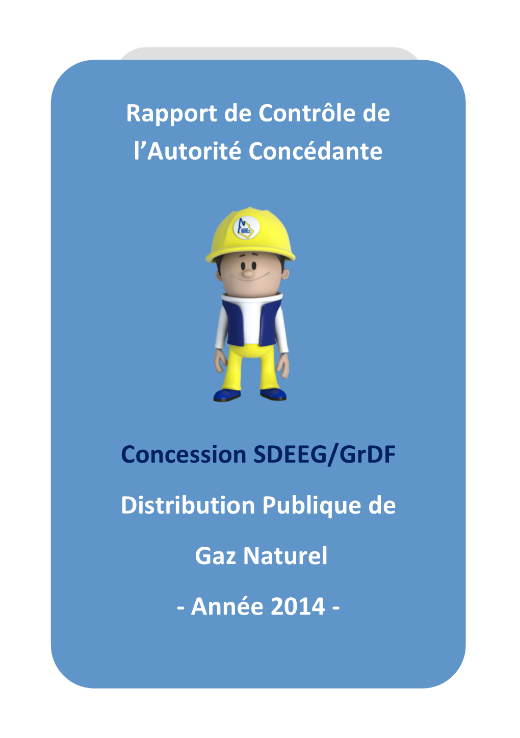Rapport Contrôle Grdf 2014
