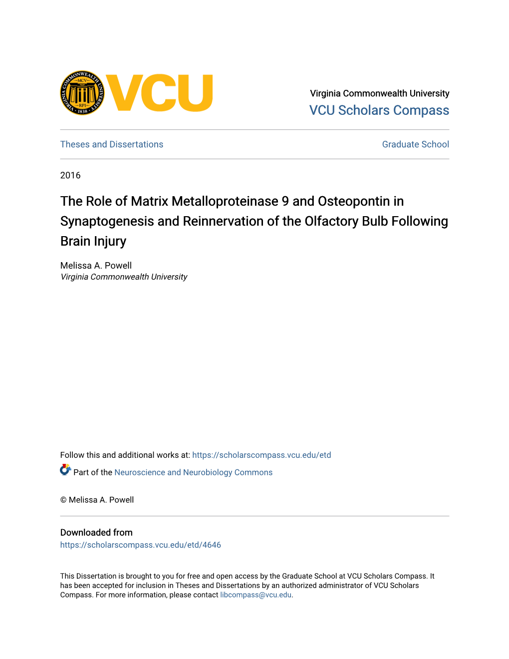 The Role of Matrix Metalloproteinase 9 and Osteopontin in Synaptogenesis and Reinnervation of the Olfactory Bulb Following Brain Injury