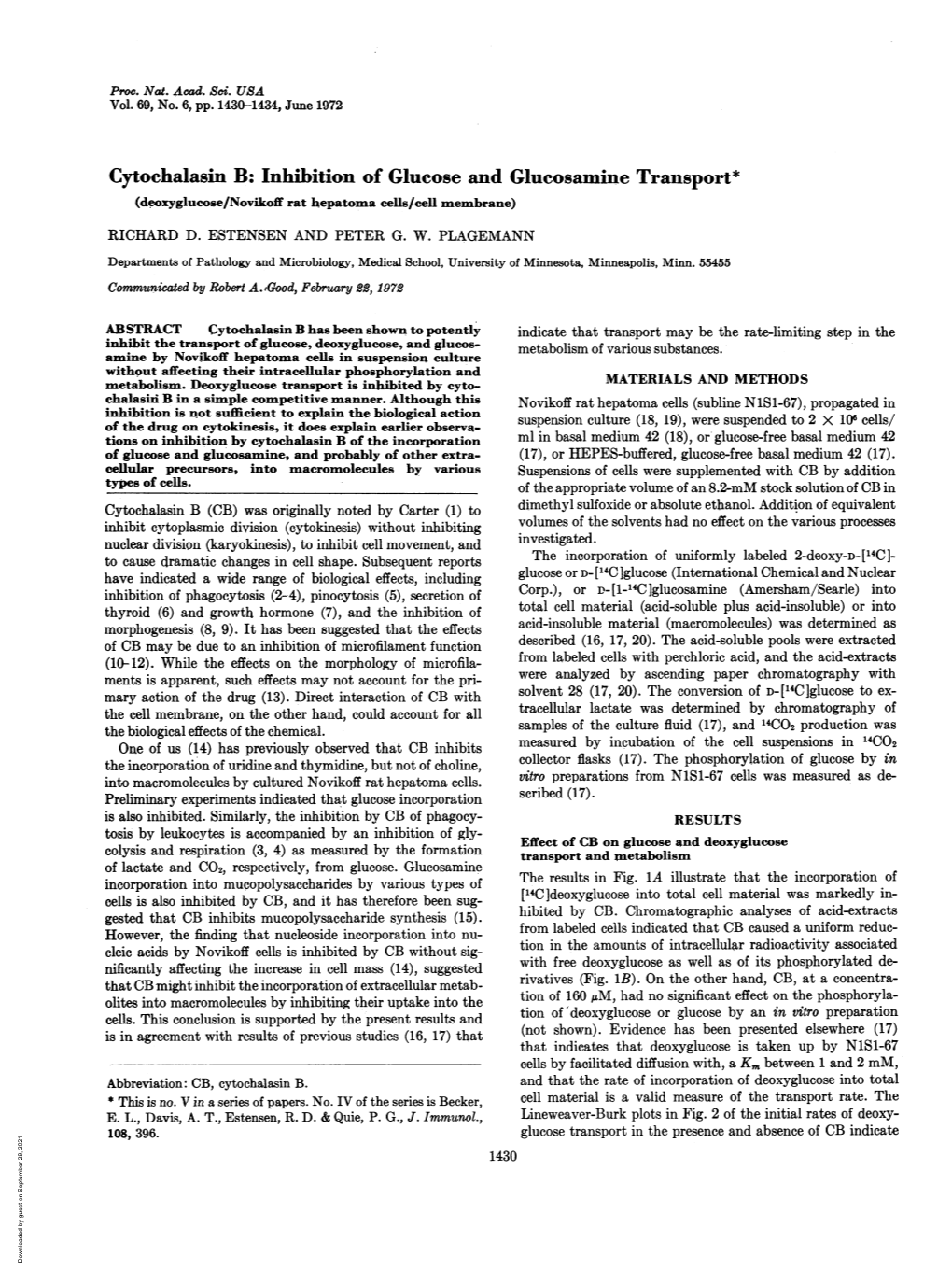 Cytochalasin B: Inhibition of Glucose and Glucosamine Transport* (Deoxyglucose/Novikoff Rat Hepatoma Cells/Cell Membrane) RICHARD D