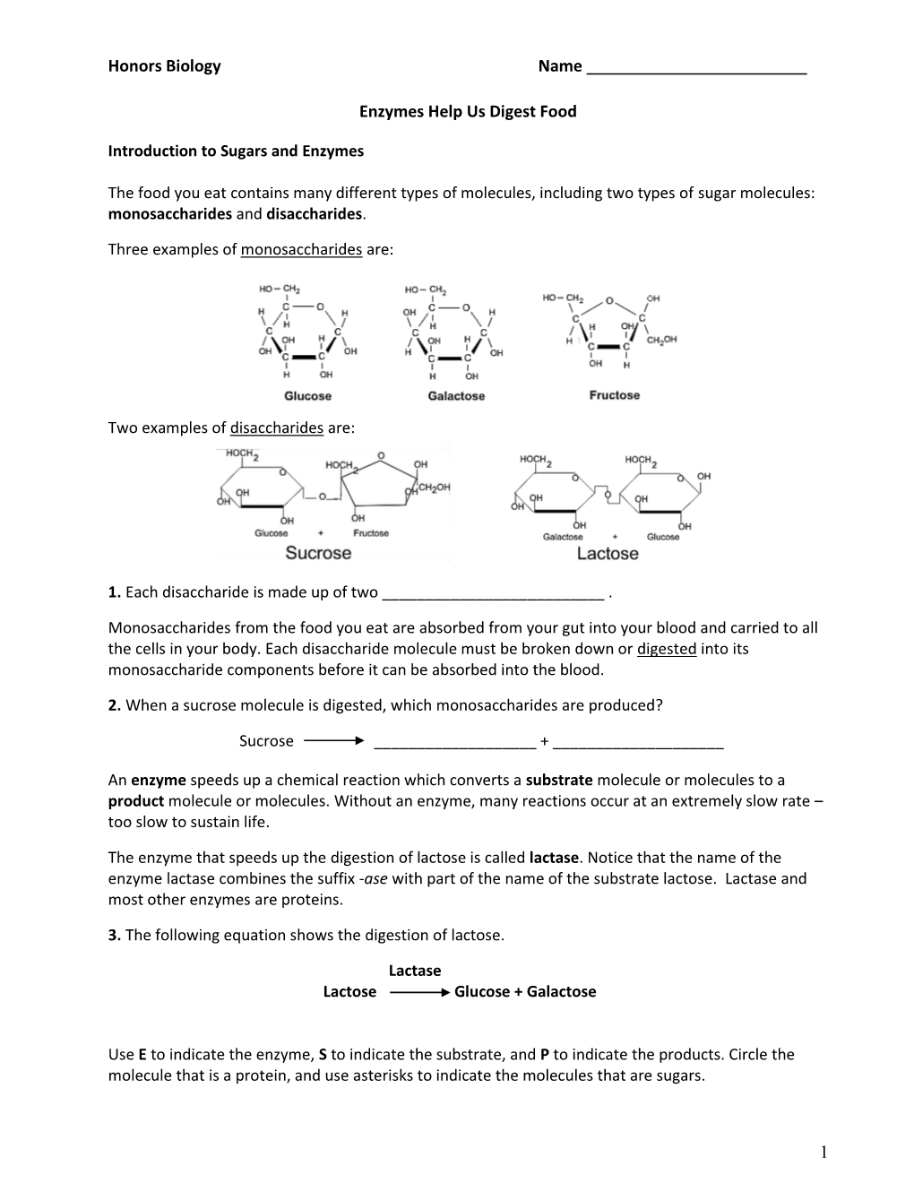 What Effects Do Enzymes Have on Chemical Reactions