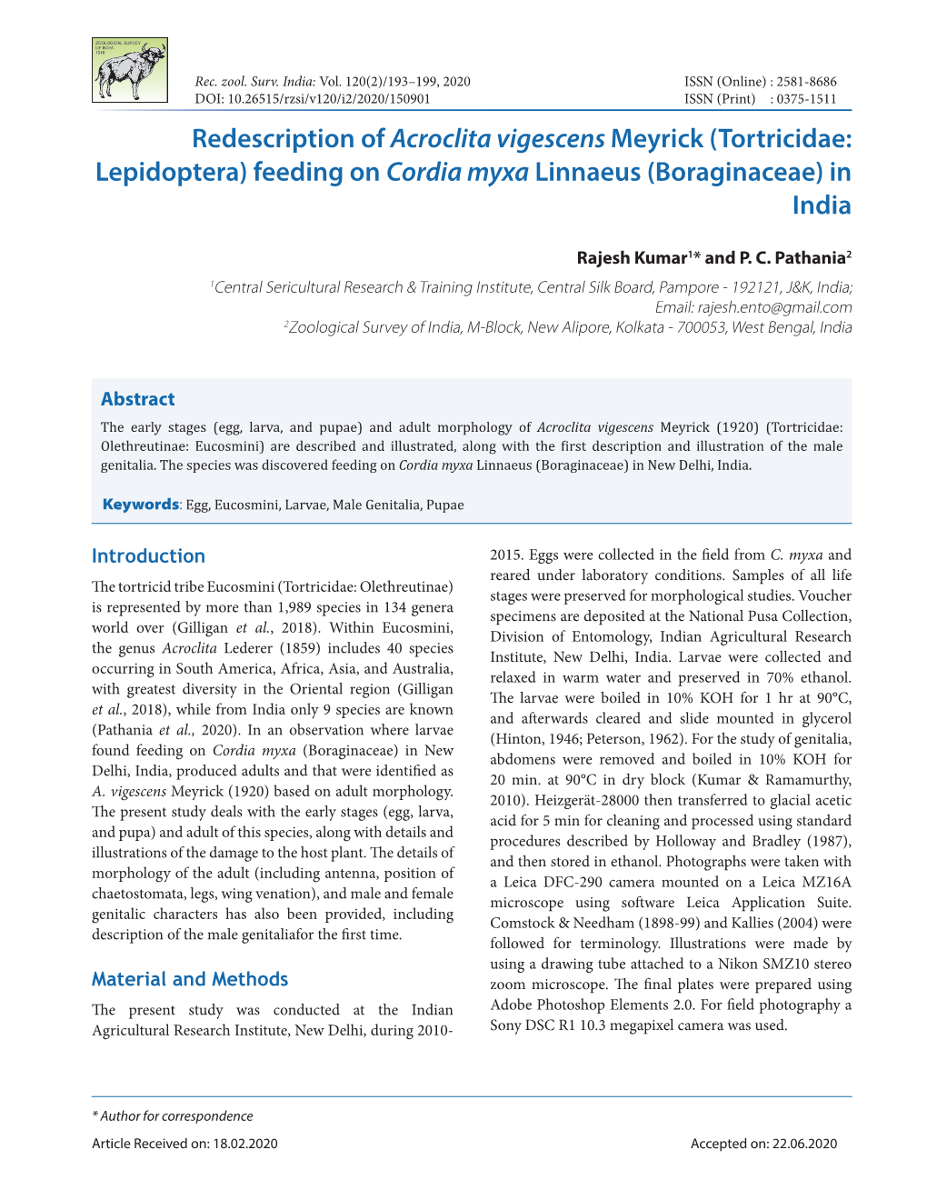 Redescription of Acroclita Vigescens Meyrick (Tortricidae: Lepidoptera) Feeding on Cordia Myxa Linnaeus (Boraginaceae) in India