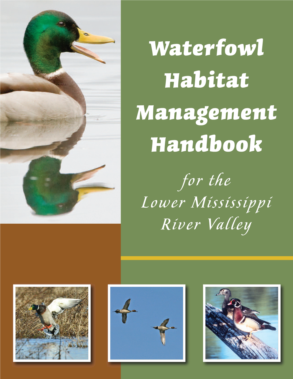 Waterfowl Habitat Management Handbook for the Lower Mississippi River Valley Contents Benefits of Habitat Management