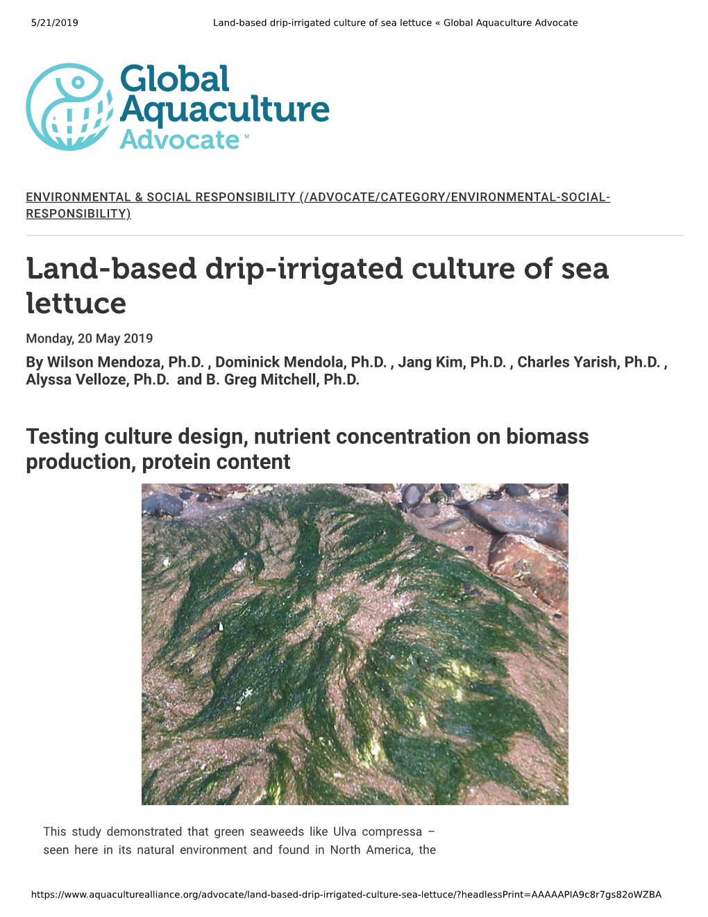 Land-Based Drip-Irrigated Culture of Sea Lettuce « Global Aquaculture Advocate