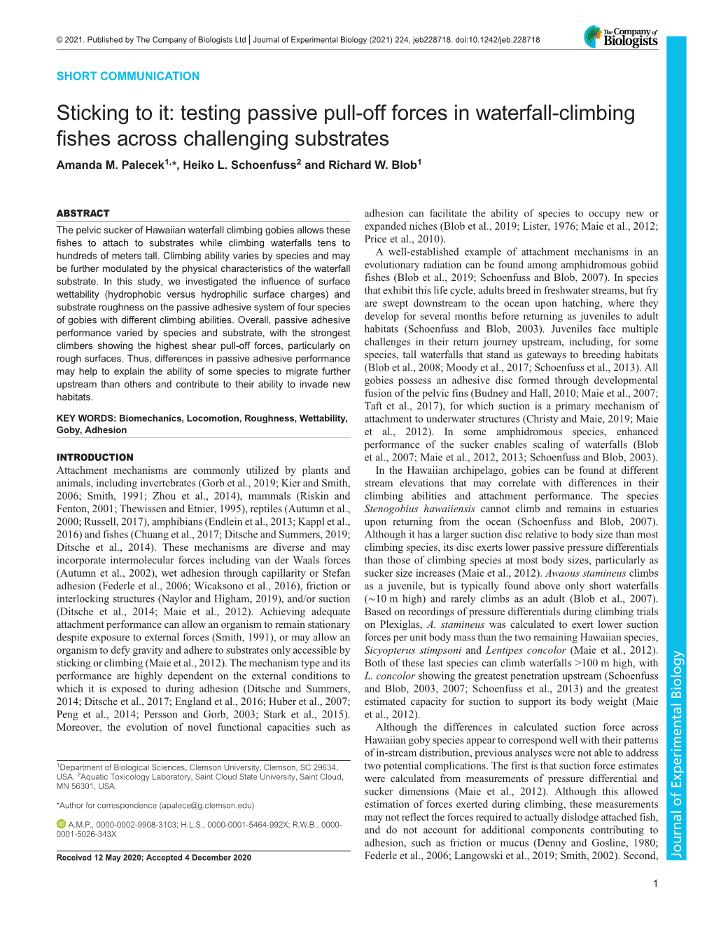 Testing Passive Pull-Off Forces in Waterfall-Climbing Fishes Across Challenging Substrates Amanda M