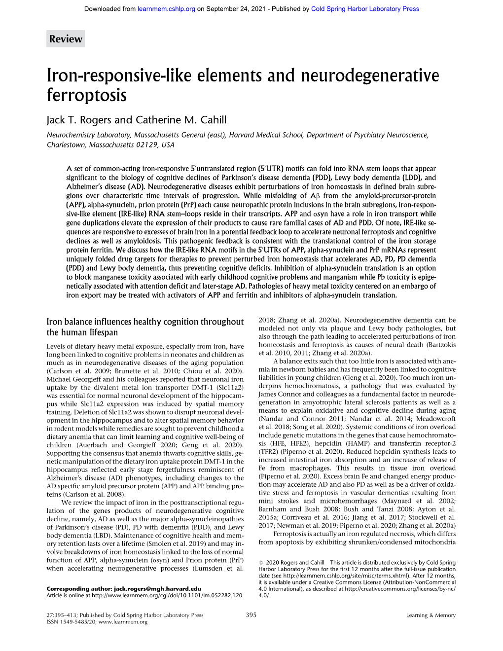 Iron-Responsive-Like Elements and Neurodegenerative Ferroptosis