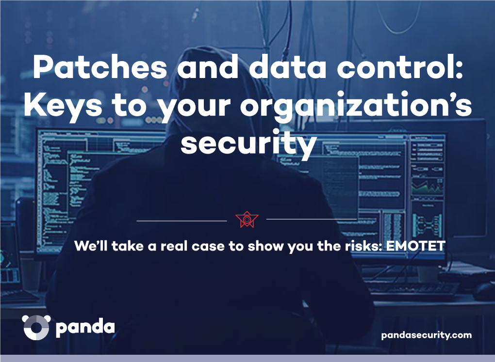 Patches and Data Control: Keys to Your Organization's Security
