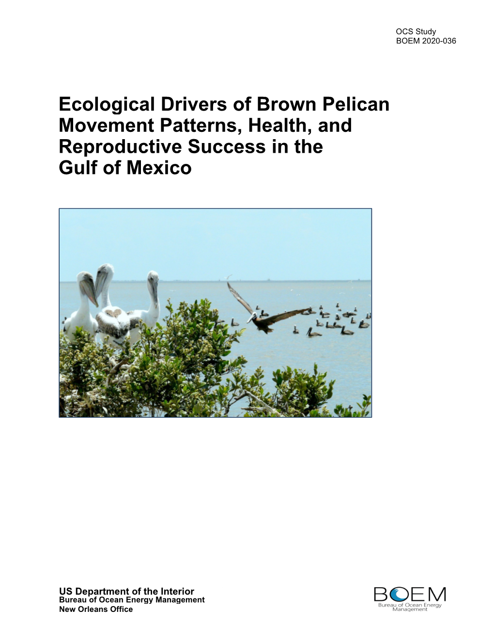 Ecological Drivers of Brown Pelican Movement Patterns, Health, and Reproductive Success in the Gulf of Mexico