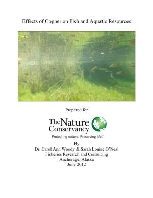Effects of Copper on Fish and Aquatic Resources