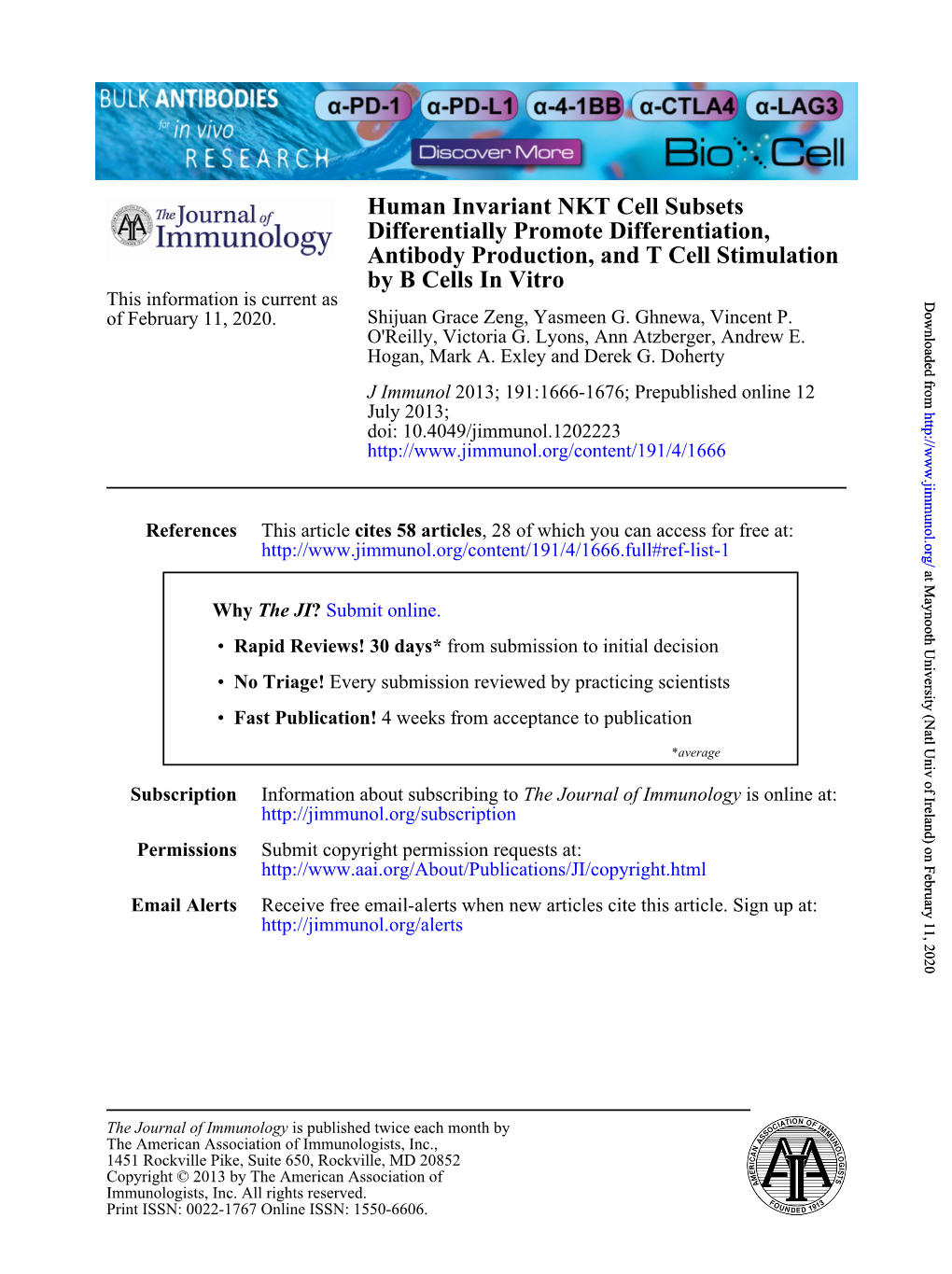 By B Cells in Vitro Antibody Production, and T Cell Stimulation