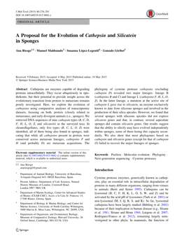 A Proposal for the Evolution of Cathepsin and Silicatein in Sponges