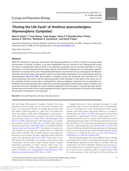 'Closing the Life Cycle' of Andricus Quercuslanigera (Hymenoptera: Cynipidae)