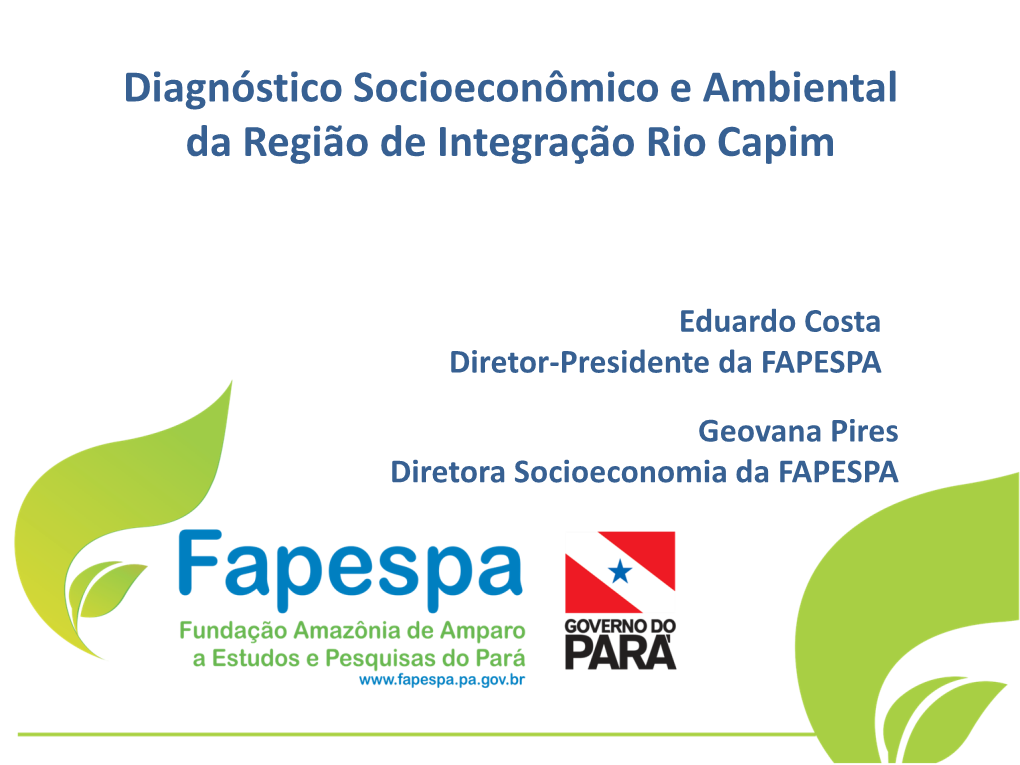 Diagnóstico Socioeconômico E Ambiental Da Região De Integração Rio Capim