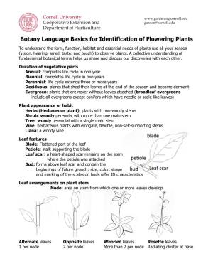 Botany Language Basics for Identification of Flowering Plants