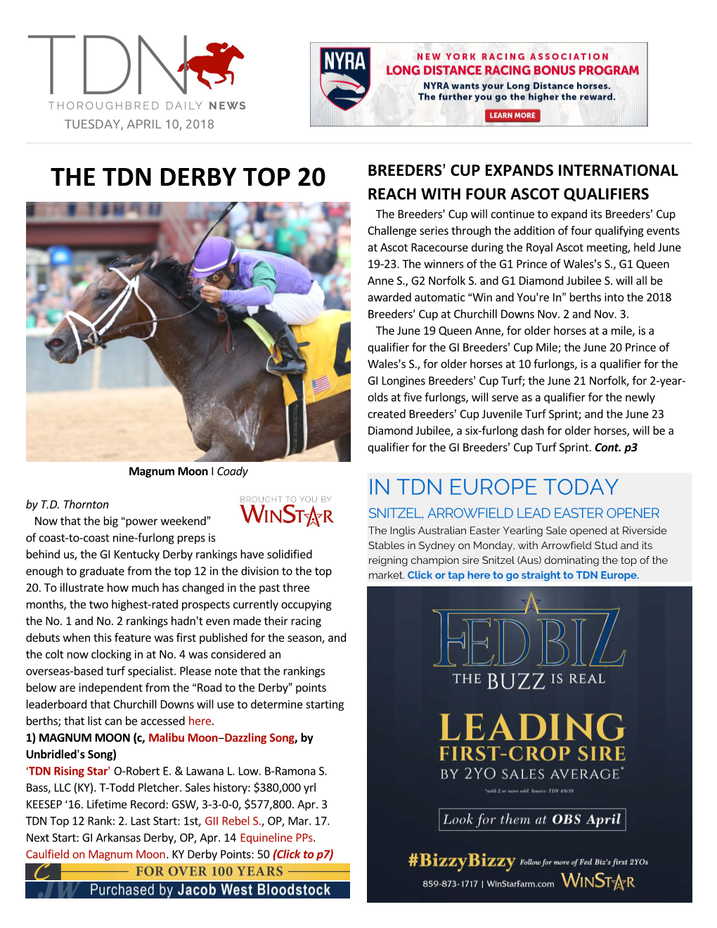 The Tdn Derby Top 20