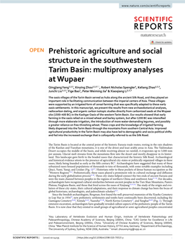 Prehistoric Agriculture and Social Structure in the Southwestern Tarim Basin: Multiproxy Analyses at Wupaer