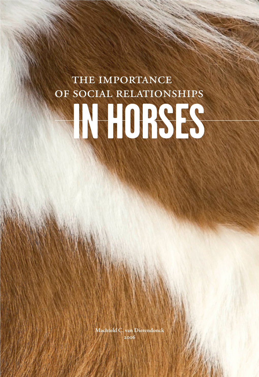 The Importance of Social Relationships in Horses