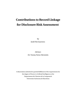 Contributions to Record Linkage for Disclosure Risk Assessment