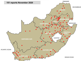 151 Reports November 2020