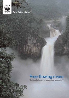 Free-Flowing Rivers