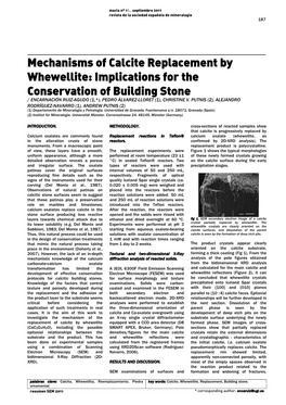 Mechanisms of Calcite Replacement by Whewellite: Implications for The