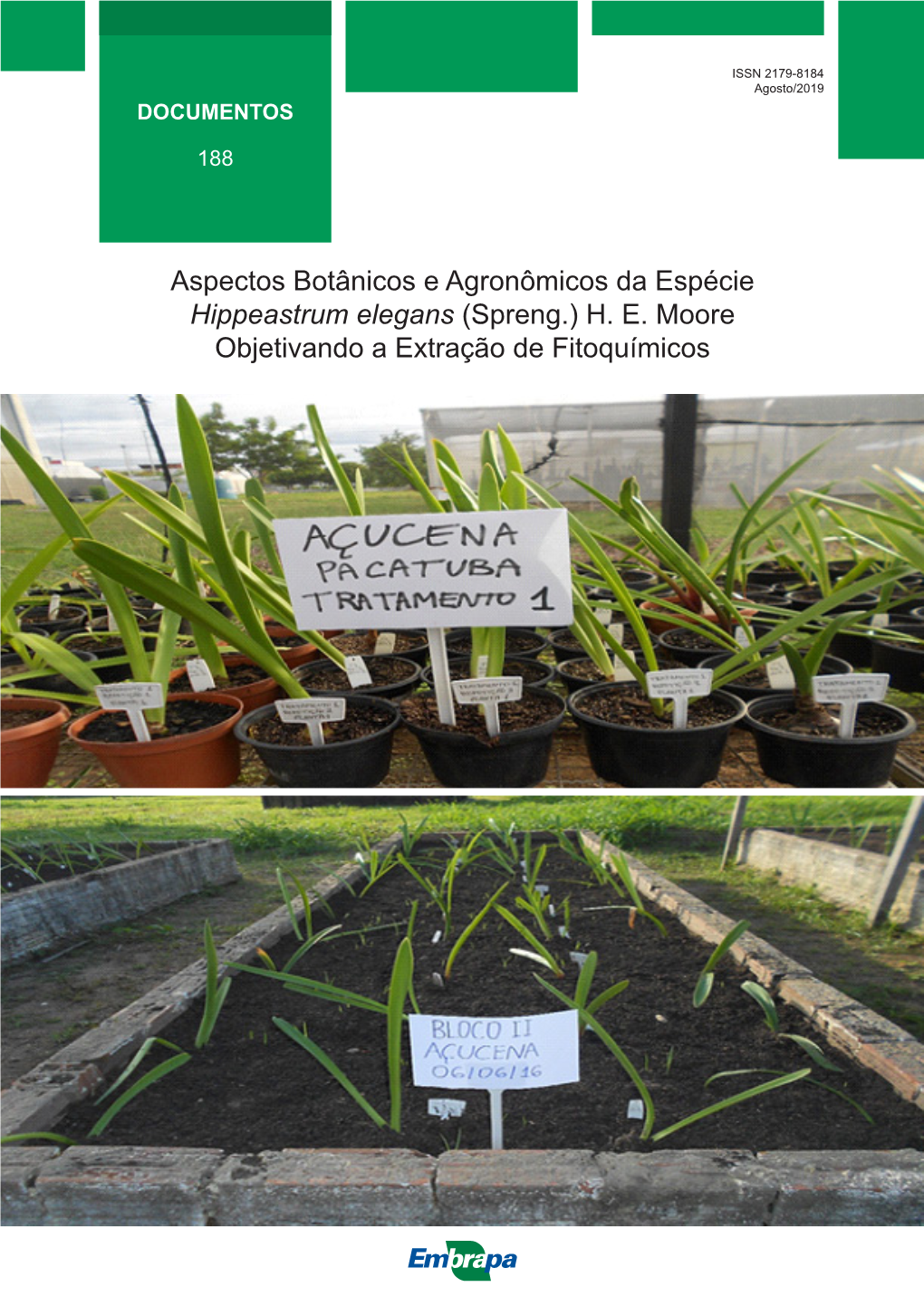 Aspectos Botânicos E Agronômicos Da Espécie Hippeastrum Elegans (Spreng.) H