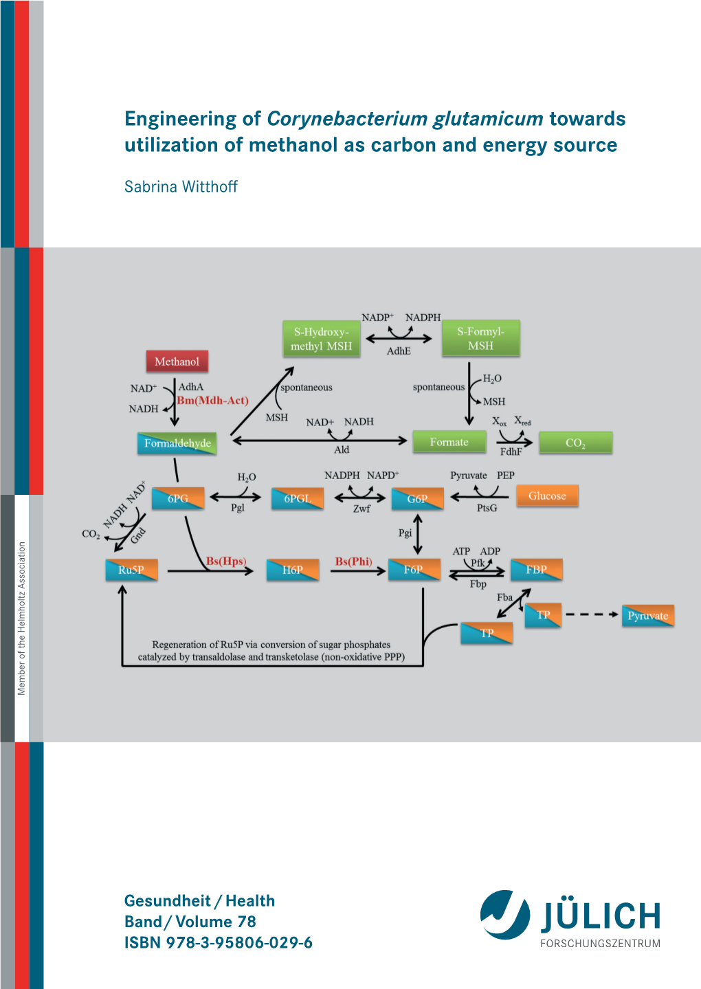 Corynebacterium Glutamicum Towards Utilization of Methanol As Carbon and Energy Source