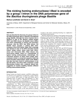 The Nicking Homing Endonuclease I-Basi Is Encoded by a Group I Intron in the DNA Polymerase Gene of the Bacillus Thuringiensis Phage Bastille
