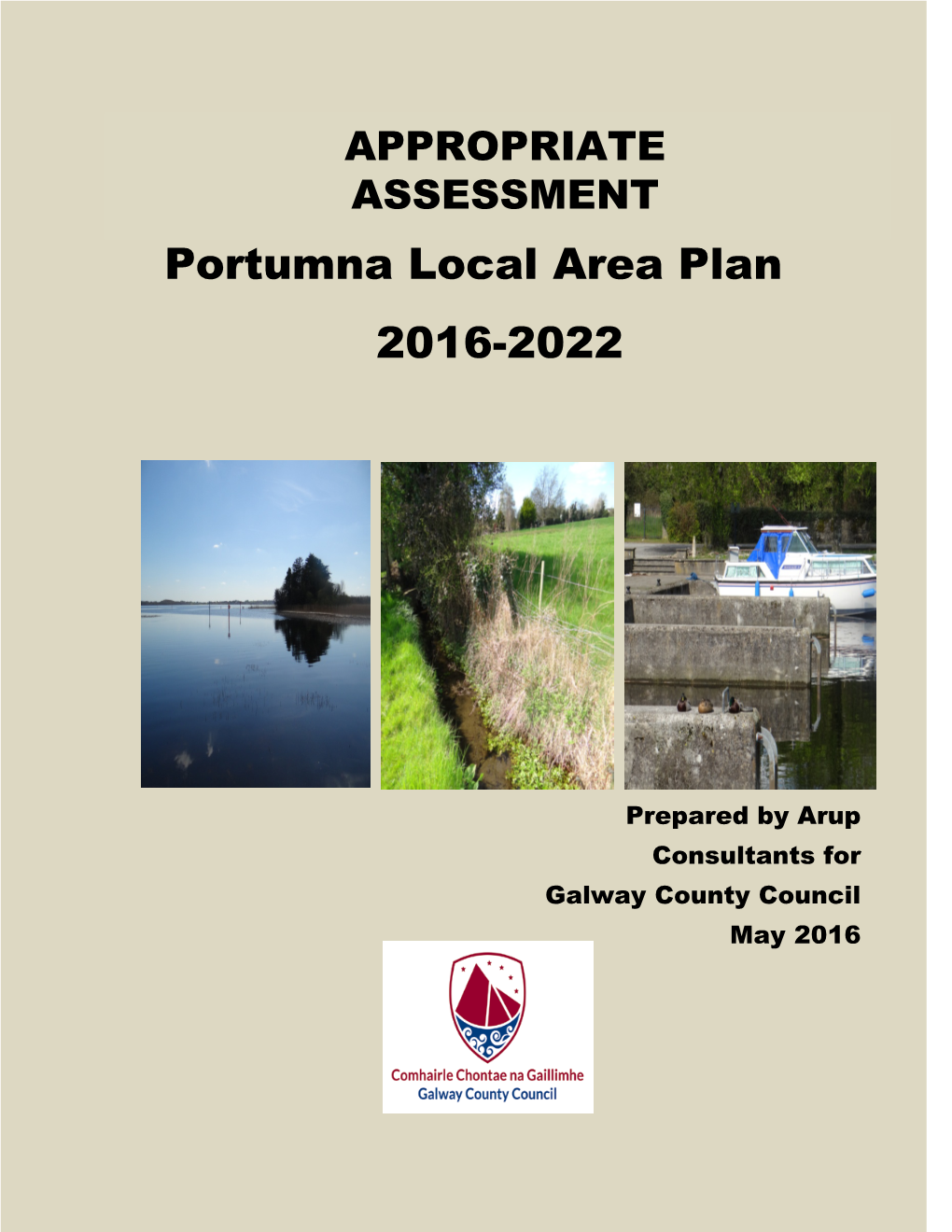 Appropriate Assessment Report Portumna