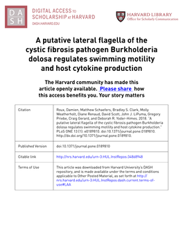 A Putative Lateral Flagella of the Cystic Fibrosis Pathogen Burkholderia Dolosa Regulates Swimming Motility and Host Cytokine Production