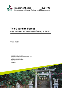 The Guardian Forest – Sacred Trees and Ceremonial Forestry in Japan