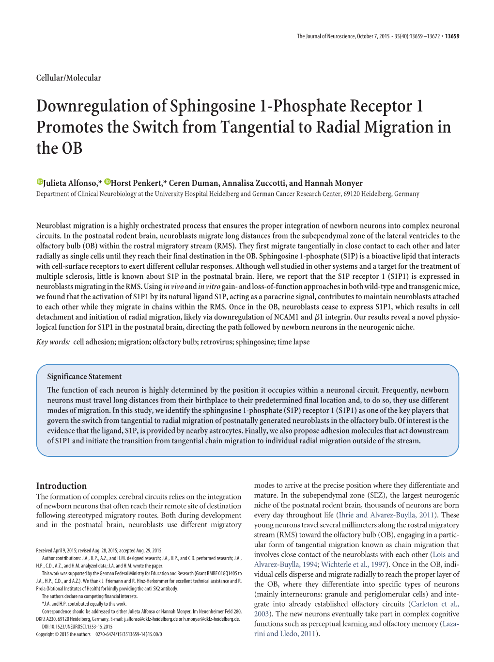 Downregulation of Sphingosine 1-Phosphate Receptor 1 Promotes the Switch from Tangential to Radial Migration in the OB