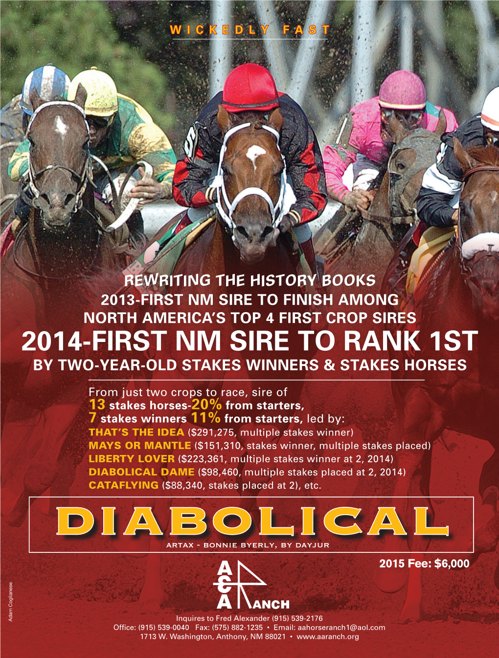 DIABOLICAL DAME ($98,460, Multiple Stakes Placed at 2, 2014) CATAFLYING ($88,340, Stakes Placed at 2), Etc