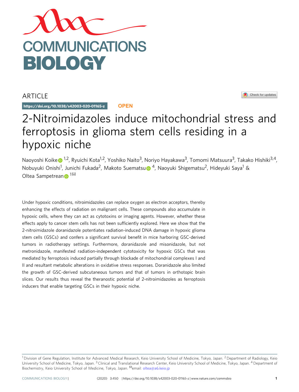 2-Nitroimidazoles Induce Mitochondrial Stress and Ferroptosis in Glioma Stem Cells Residing in a Hypoxic Niche
