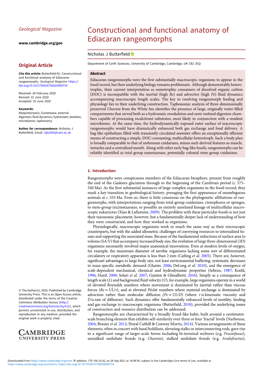 Constructional and Functional Anatomy of Ediacaran Rangeomorphs