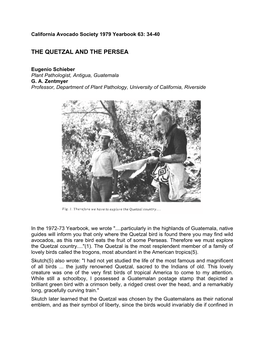 The Quetzal and the Persea