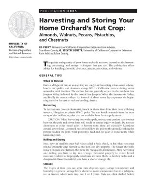 Harvesting and Storing Your Home Orchard's Nut Crop