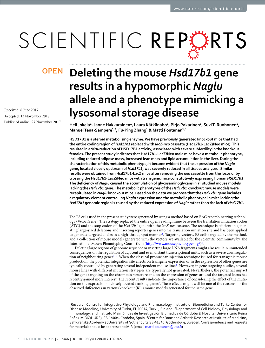 Deleting the Mouse Hsd17b1 Gene Results in a Hypomorphic Naglu Allele and a Phenotype Mimicking a Lysosomal Storage Disease