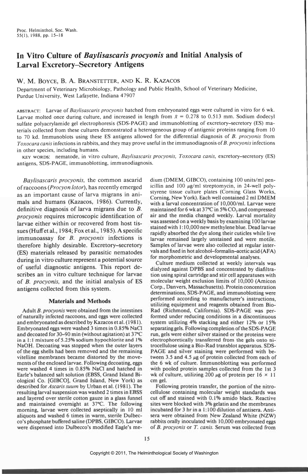 In Vitro Culture of Baylisascaris Procyonis and Initial Analysis of Larval Excretory-Secretory Antigens