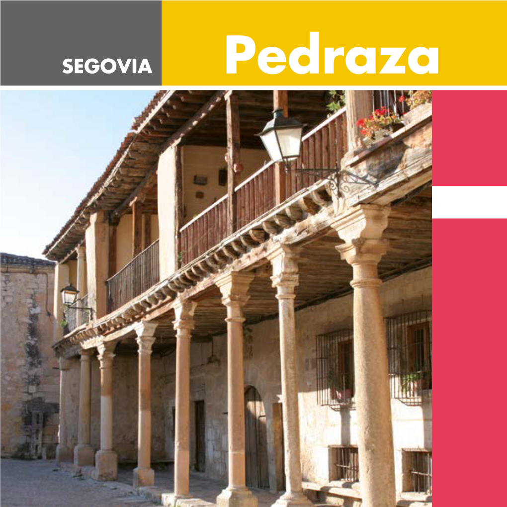 Pedraza Pedraza Introducción General