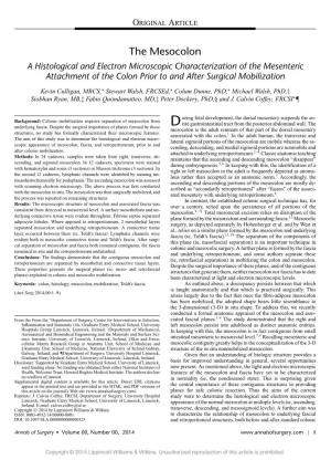 The Mesocolon a Histological and Electron Microscopic Characterization of the Mesenteric Attachment of the Colon Prior to and After Surgical Mobilization