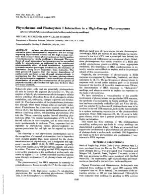 Phytochrome and Photosystem I Interaction in a High-Energy