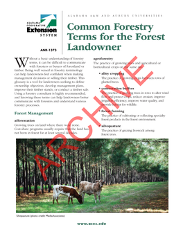 Common Forestry Terms for the Forest Landowner