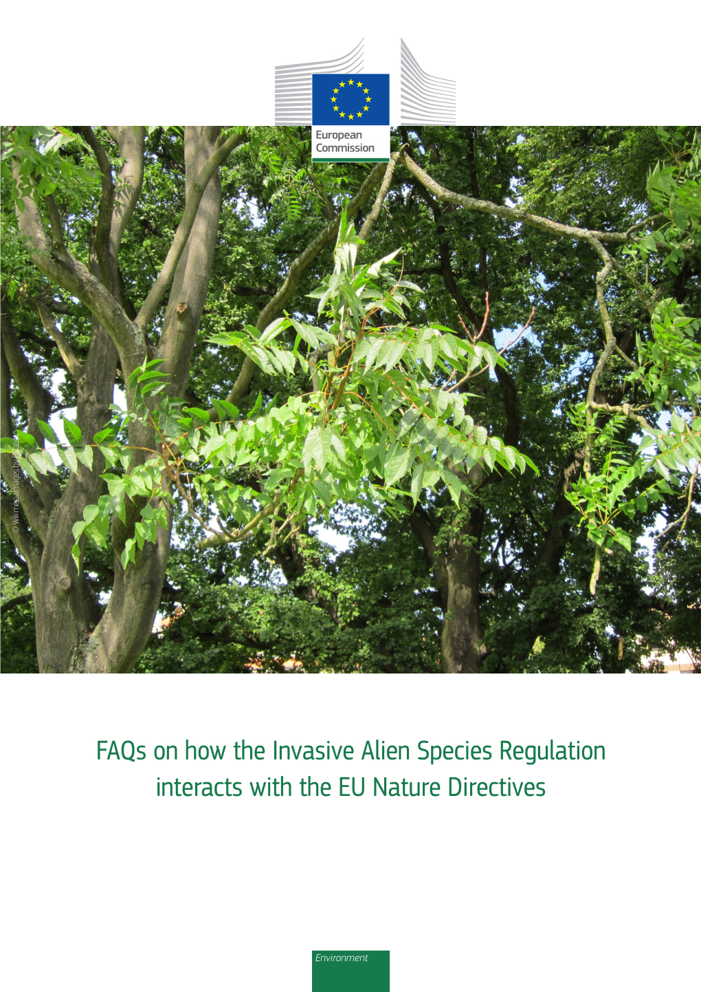 Faqs on How the Invasive Alien Species Regulation Interacts with the EU Nature Directives