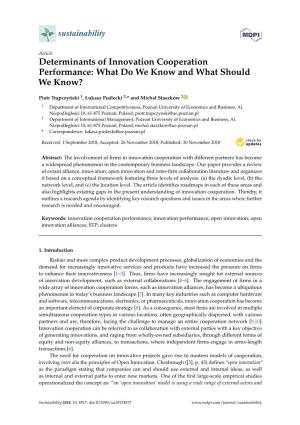 Determinants of Innovation Cooperation Performance: What Do We Know and What Should We Know?