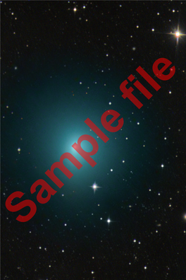 Sample File the Basics