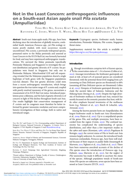 Not in the Least Concern: Anthropogenic Influences on a South-East Asian Apple Snail Pila Scutata (Ampullariidae)