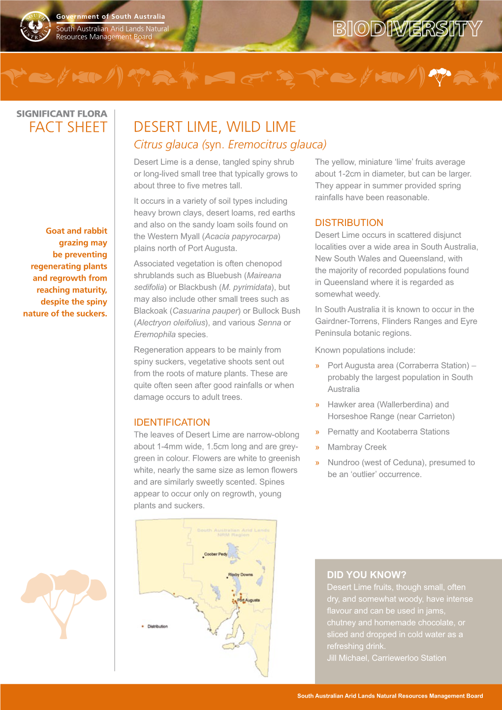 Desert Lime, Wild Lime Fact Sheet